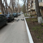 Уборка придомовой территории МКД по адресу улица Пермякова 68 корпус 2 | 23 апреля 2026 года Уборка придомовой территории МКД по адресу улица Пермякова 68 корпус 2 | 23 апреля 2026 года